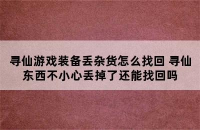 寻仙游戏装备丢杂货怎么找回 寻仙东西不小心丢掉了还能找回吗